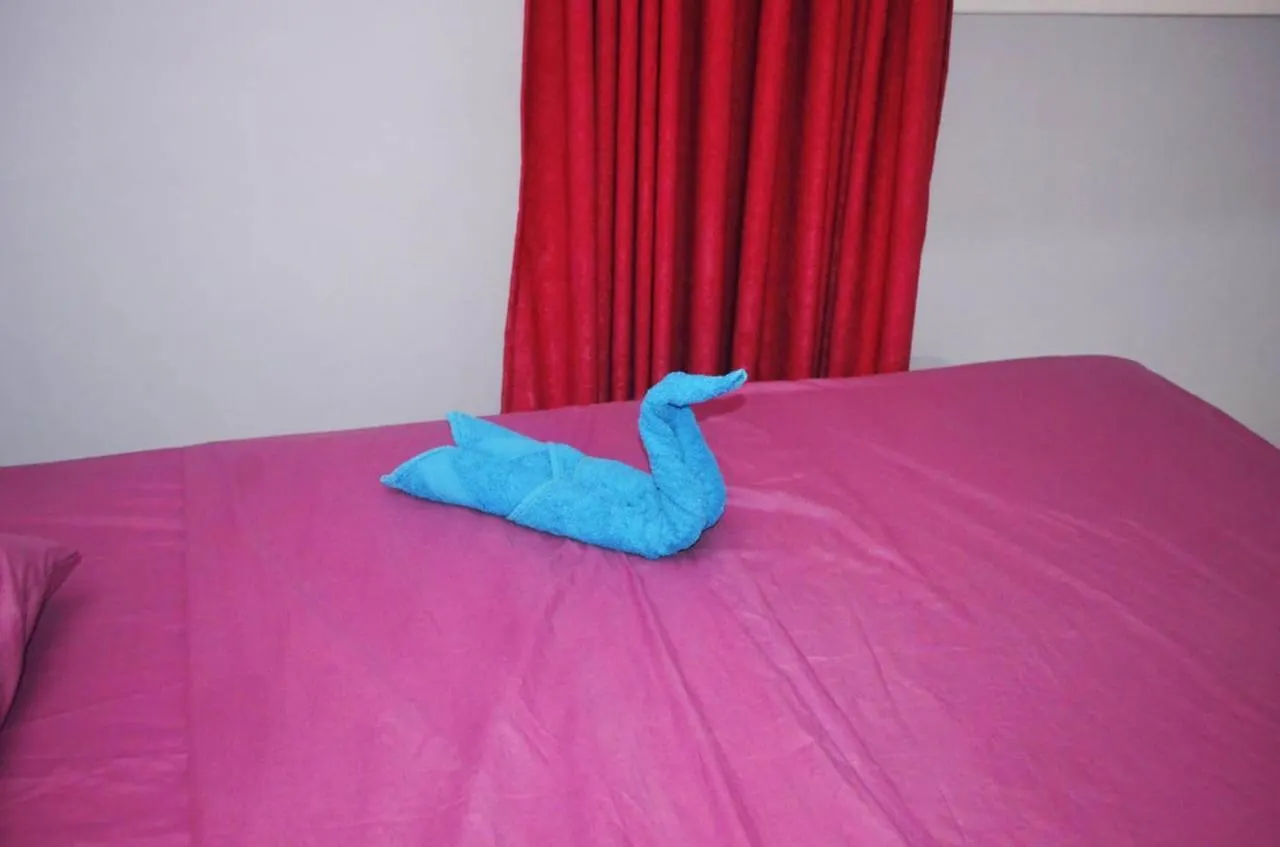 Hermina Guest House Luxor 0*,  Egypt